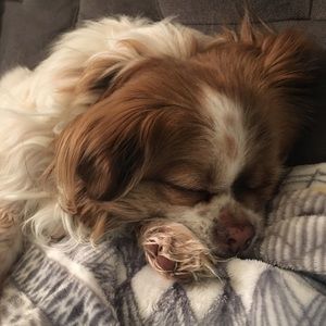 Meet your Posher, Michelle